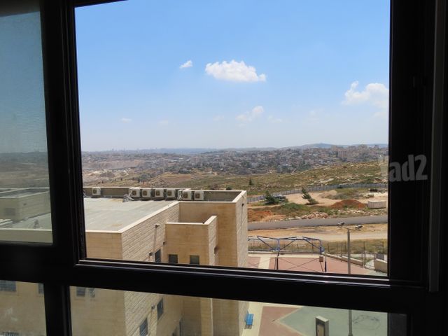 אהבת שלום 1