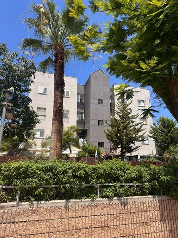 גינוסר 11