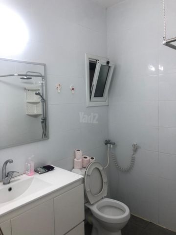 החשמונאים 24