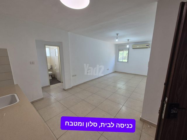 הארזים 21