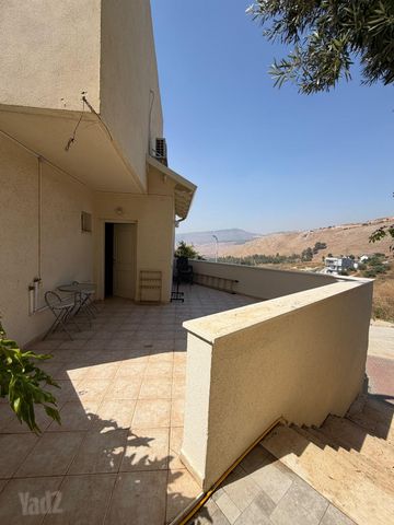 הכלנית 13