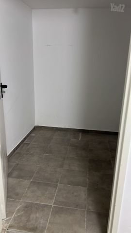 אמנון ליפקין שחק 8