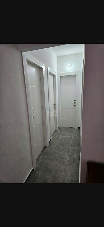 אורן 35
