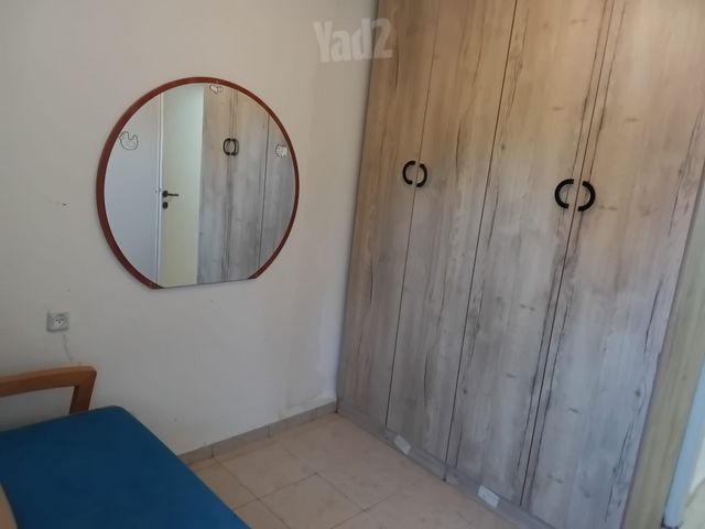 הזית 3