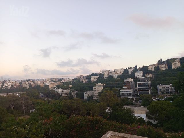 שדרות ודג'ווד 10