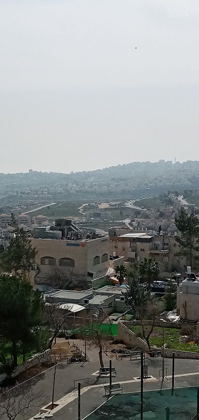 ויקטור ויוליוס 423