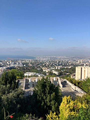 סתוונית
