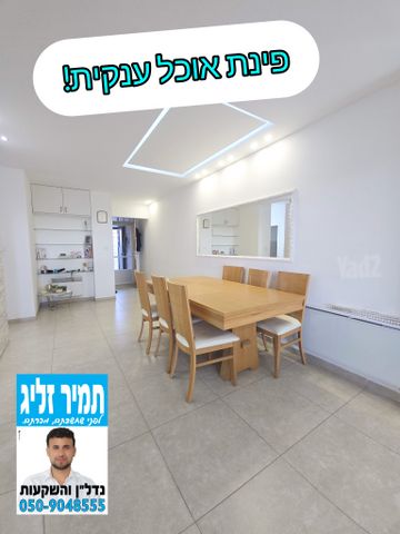 האלה 