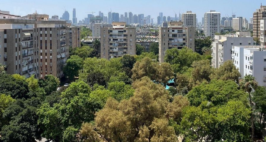 אופנהיימר 