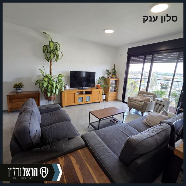 מרגנית 17