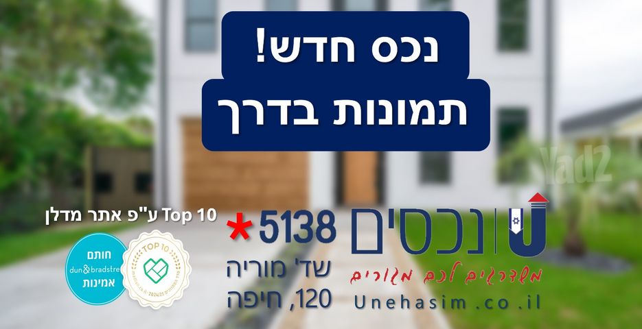 החשמונאים 