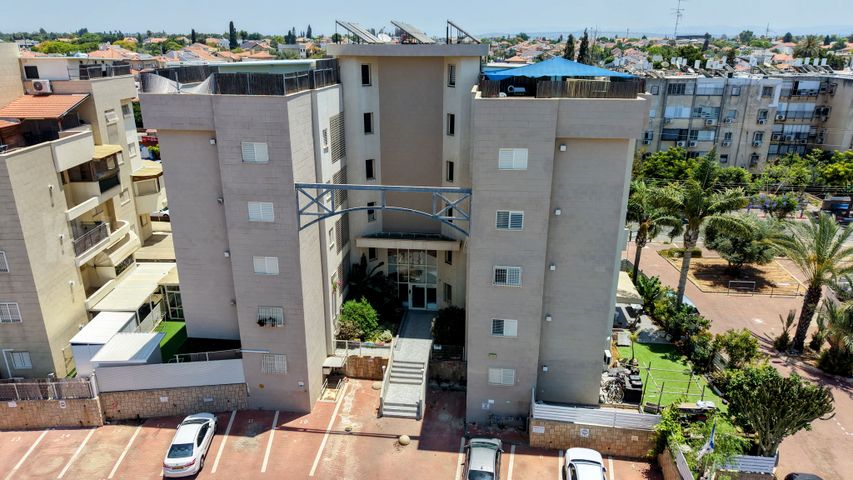 החבצלת 38