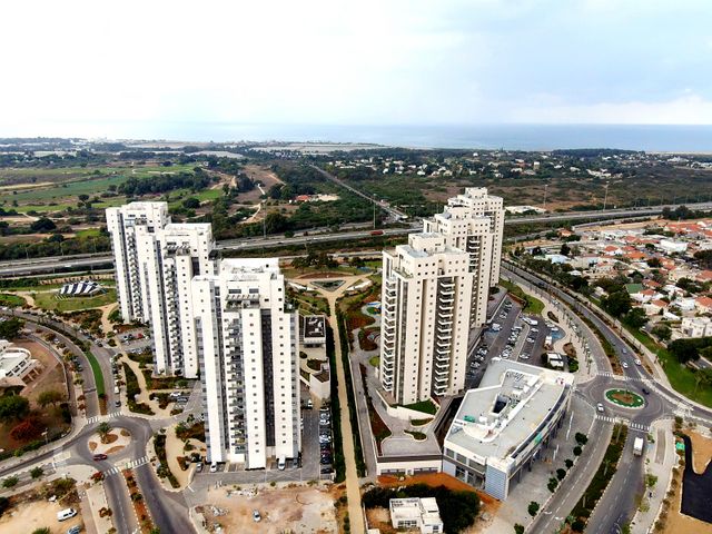 השיקמים 