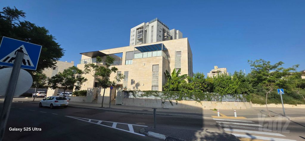אלי כהן 19