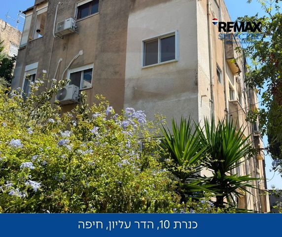 כינרת 10