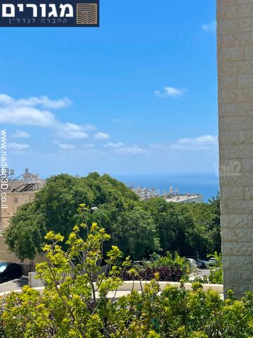 זאב ז'בוטינסקי 