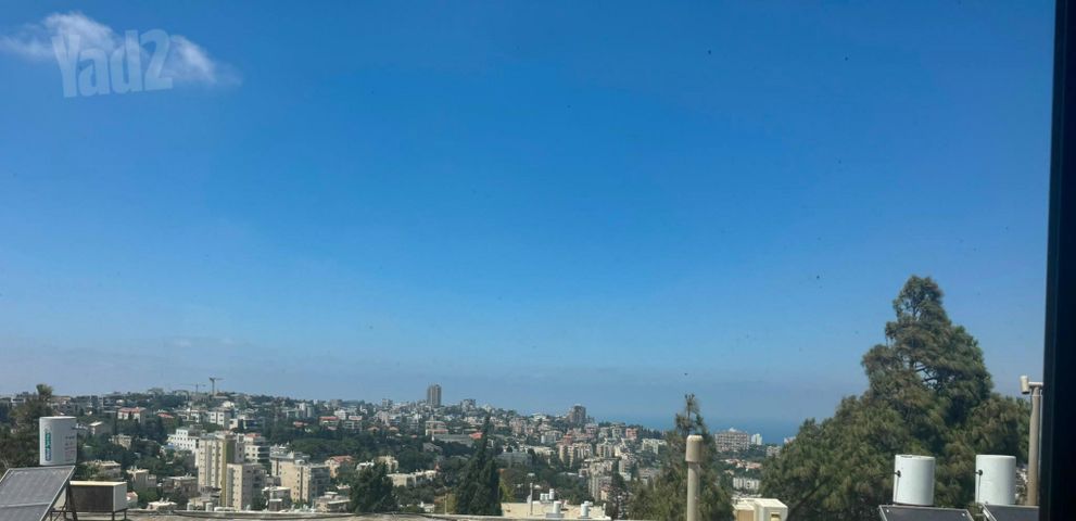 דירה, אחוזה, חיפה