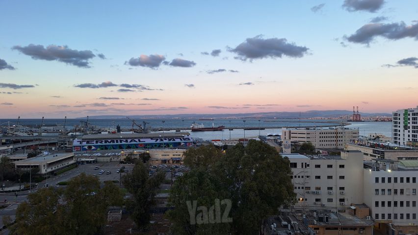 עין דור 