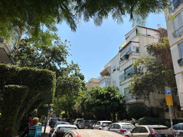 מגידו 