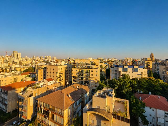 ויתקין 