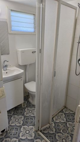 חנה סנש 