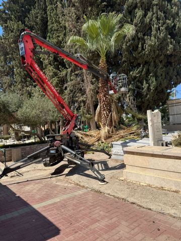 מודעת רכב אחר
