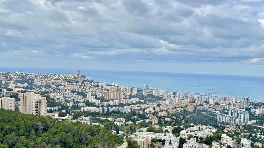 התאנה 5