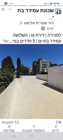 השלושה 5