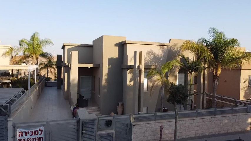 נשר 31