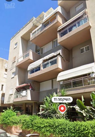 השיקמה 11