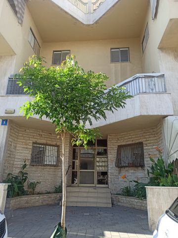 האקליפטוס 5