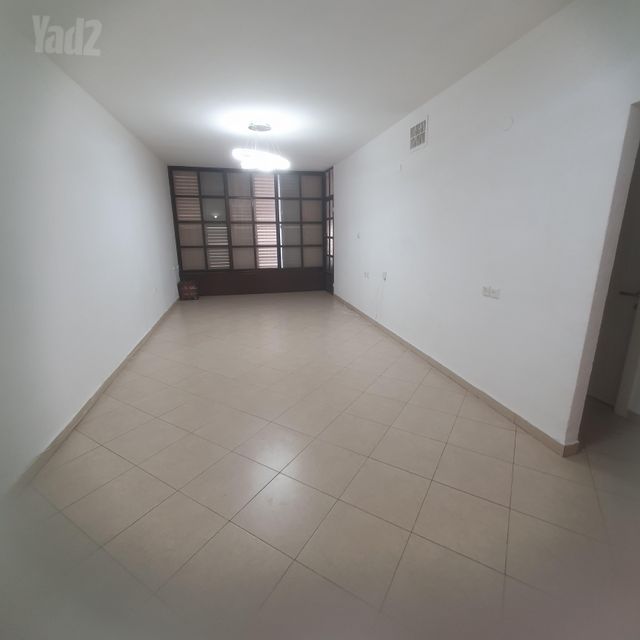 השיקמה 33