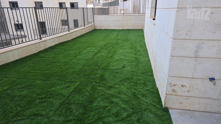 פרופסור יעקב נאמן 1