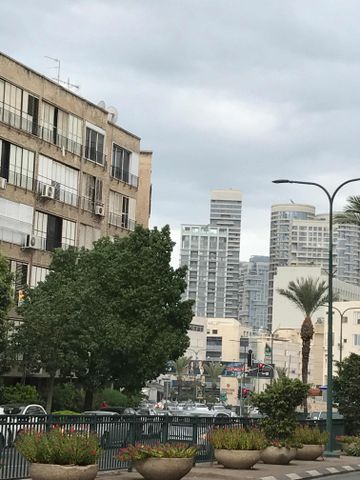 ביאליק 113
