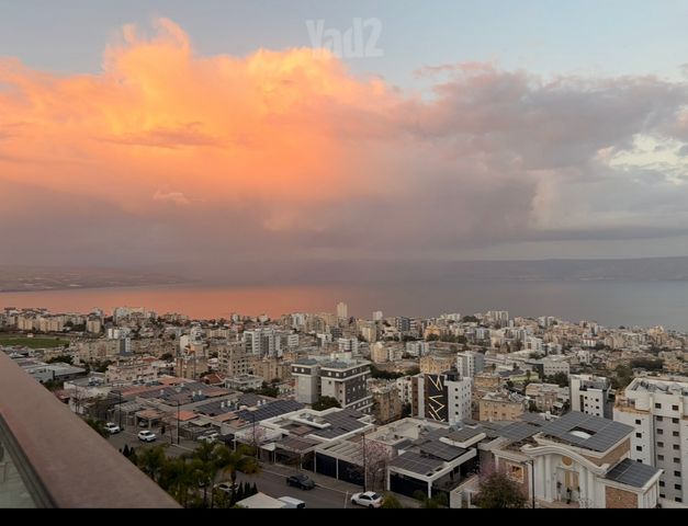 אסתר המלכה 21