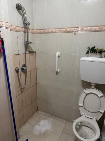 אלישע הנביא 1