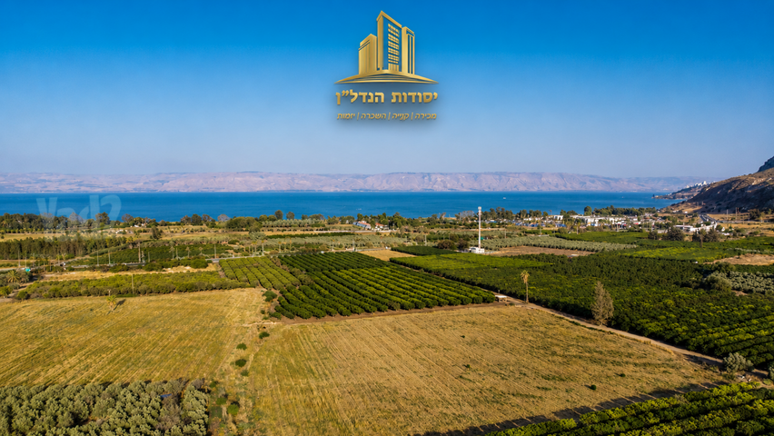 הרותם 1