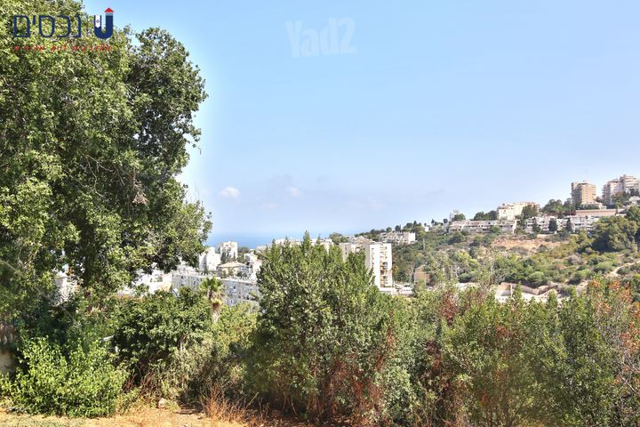 הרדוף