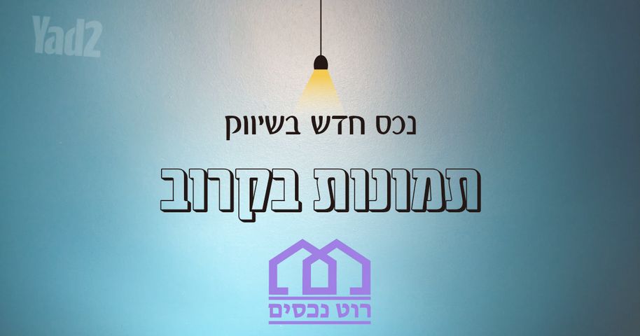 שדרות אלכסנדר 