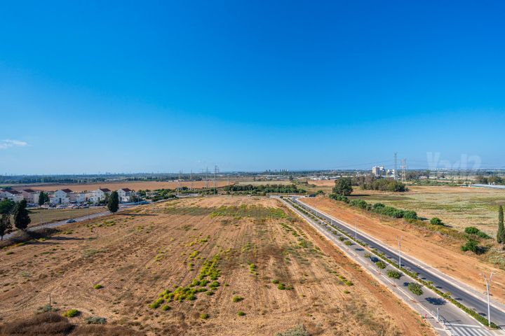 שיקמונה 5