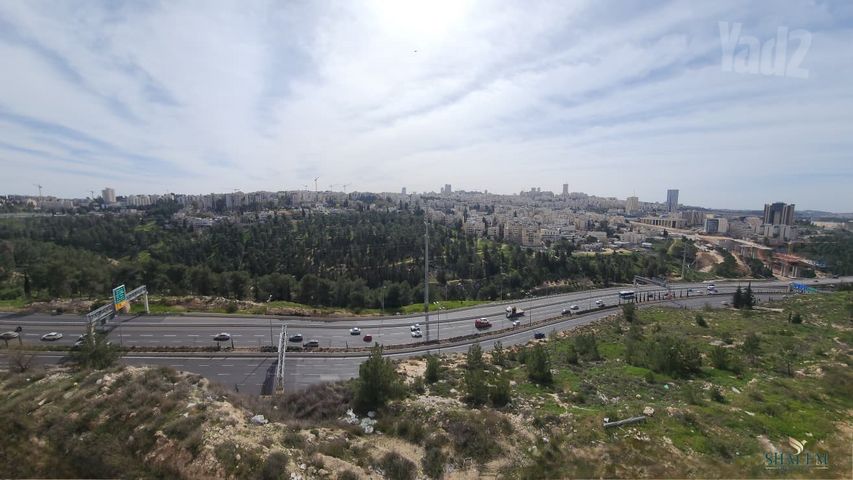 הרב רפאל ברוך טולדנו 