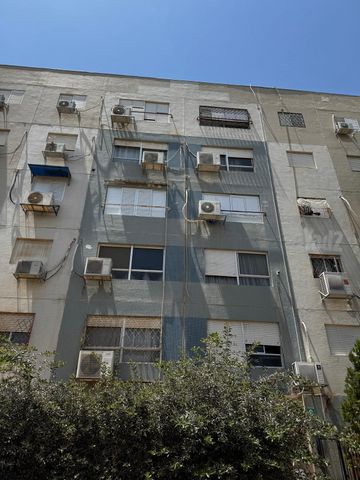 ישראל רוקח 
