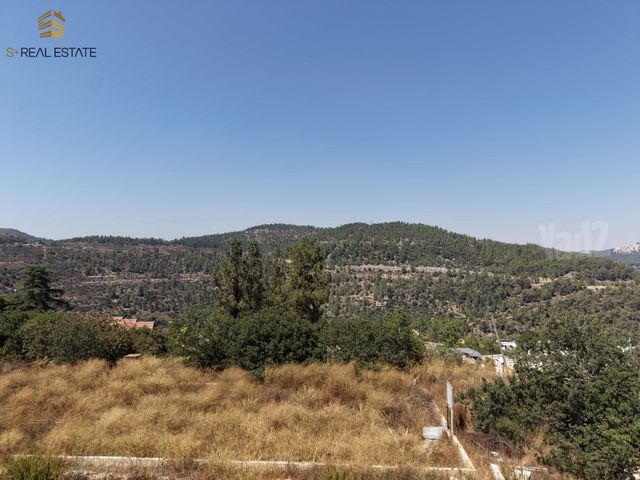 מגרשים