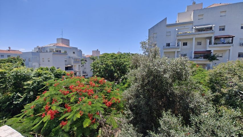 לב הפארק