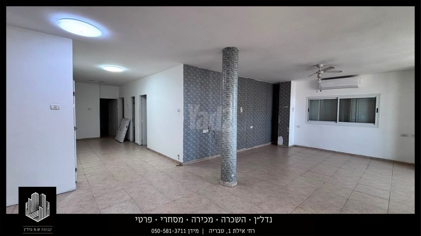 שלמה המלך 