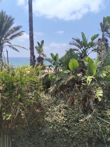 צוקי ים