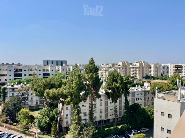 שלמה המלך 