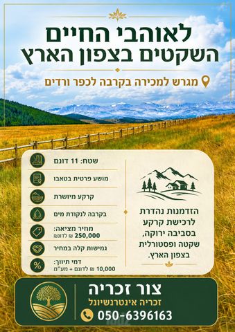 מגרשים