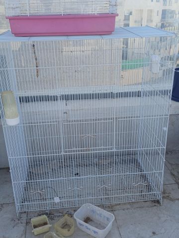 תמונת מודעה - חיות מחמד