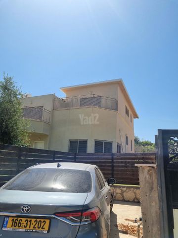 הצבעוני 9